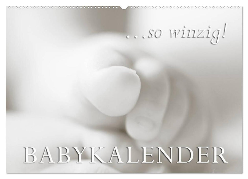 ...so winzig - Babykalender (CALVENDO Wandkalender 2027)