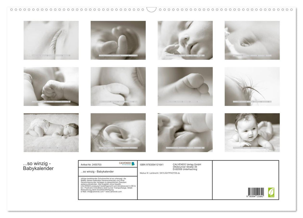 ...so winzig - Babykalender (CALVENDO Wandkalender 2027)
