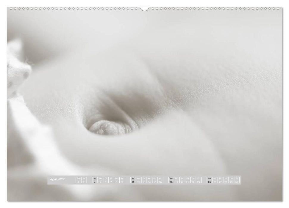 ...so winzig - Babykalender (CALVENDO Wandkalender 2027)