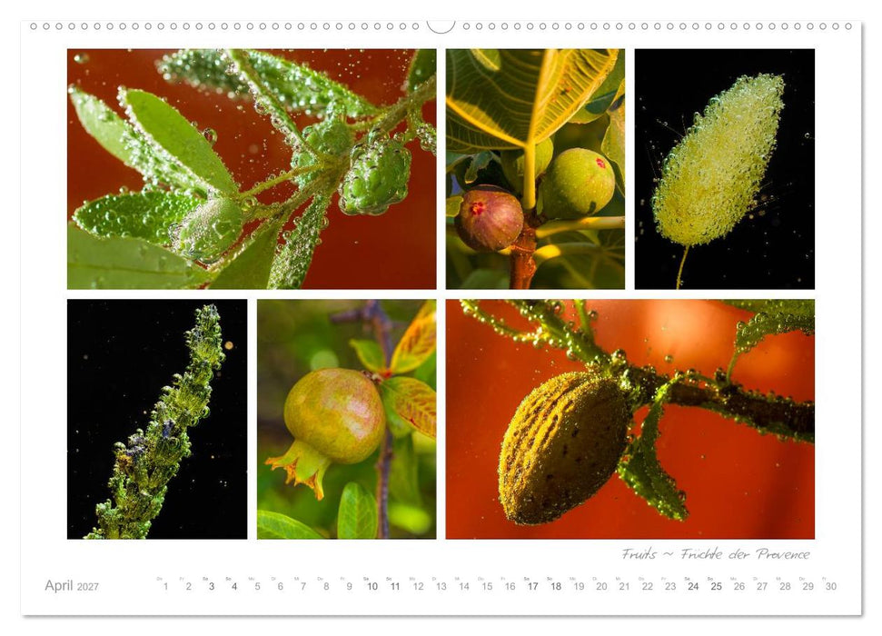Sehnsucht Provence - Land des Lichts (CALVENDO Premium Wandkalender 2027)