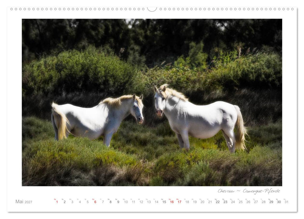 Sehnsucht Provence - Land des Lichts (CALVENDO Premium Wandkalender 2027)