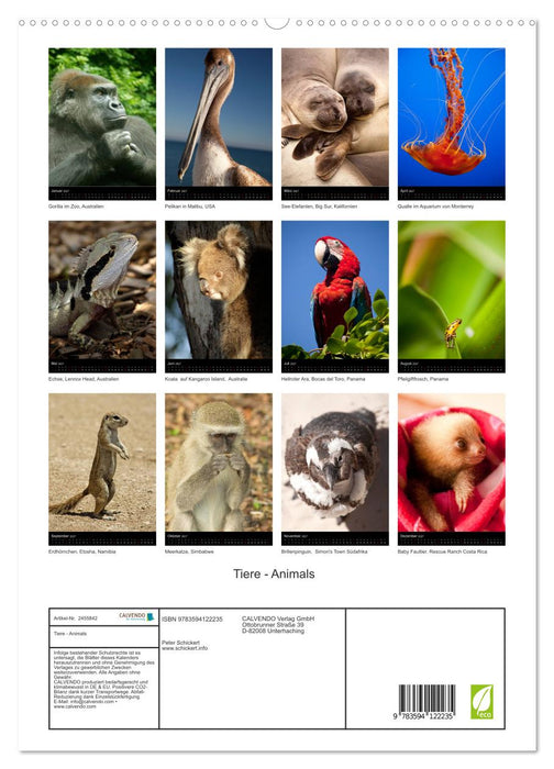 Tiere - Animals (CALVENDO Premium Wandkalender 2027)