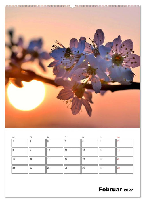 Zauberhafte Blütenwelt / Planer (CALVENDO Wandkalender 2027)