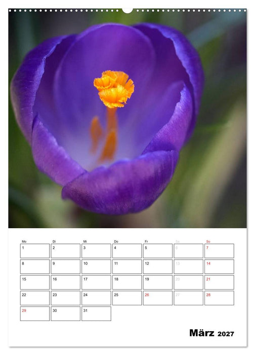 Zauberhafte Blütenwelt / Planer (CALVENDO Wandkalender 2027)