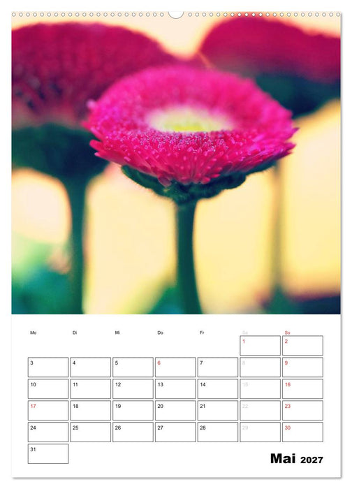 Zauberhafte Blütenwelt / Planer (CALVENDO Wandkalender 2027)