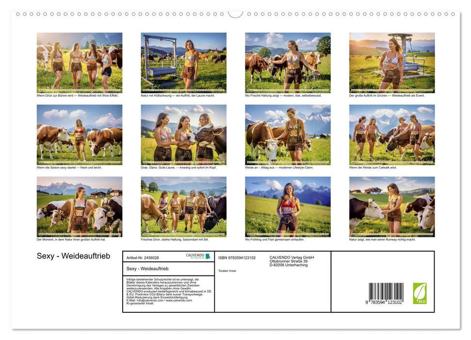 Sexy - Weideauftrieb (CALVENDO Premium Wandkalender 2027)