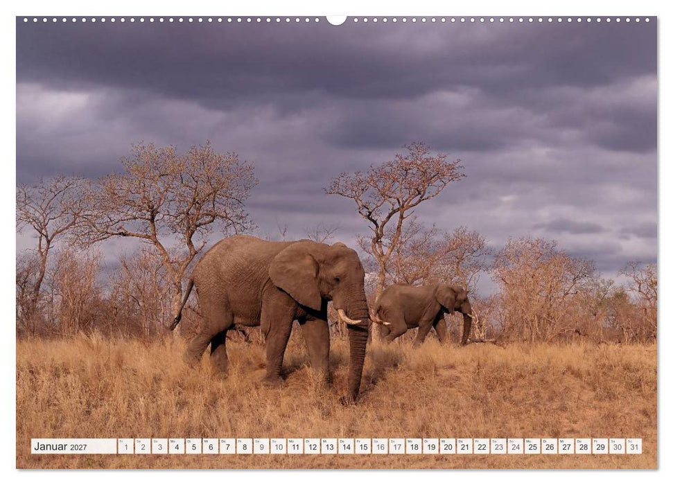Südafrika / Landschaften & Tiere / Christian Heeb (CALVENDO Wandkalender 2027)