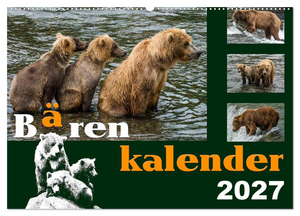 Bärenkalender (CALVENDO Wandkalender 2027)