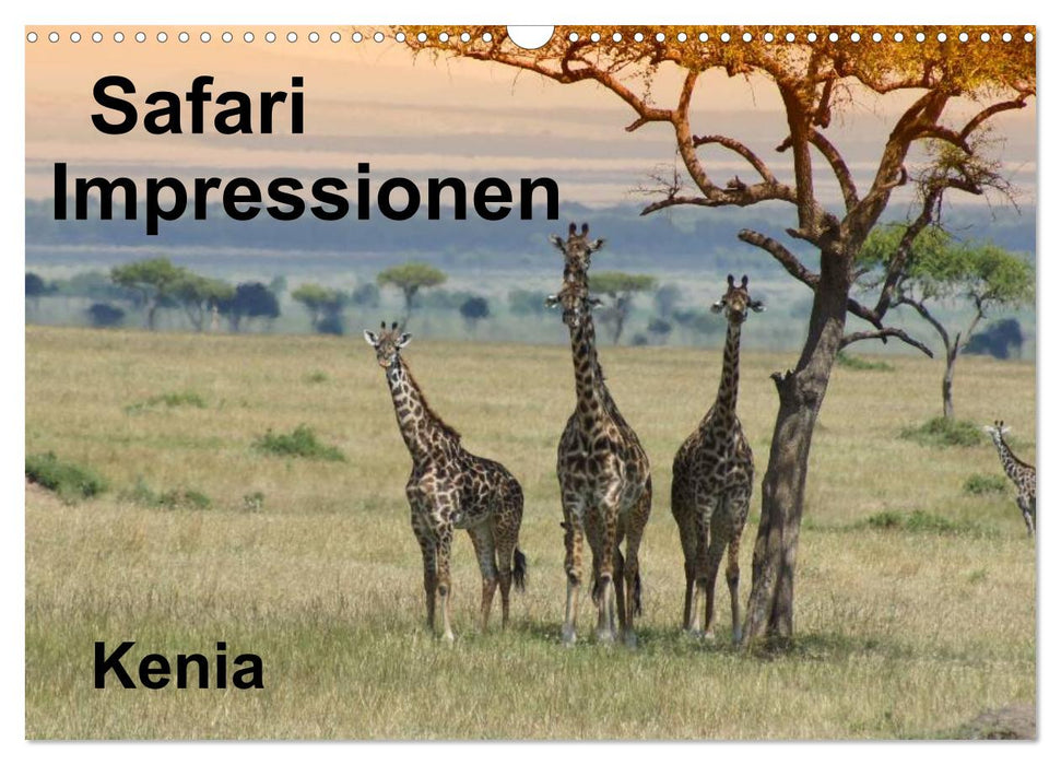 Safari Impressionen / Kenia (CALVENDO Wandkalender 2027)