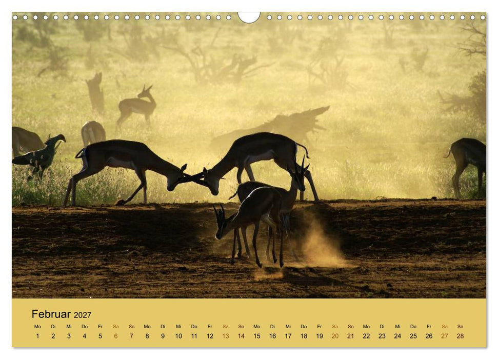 Safari Impressionen / Kenia (CALVENDO Wandkalender 2027)
