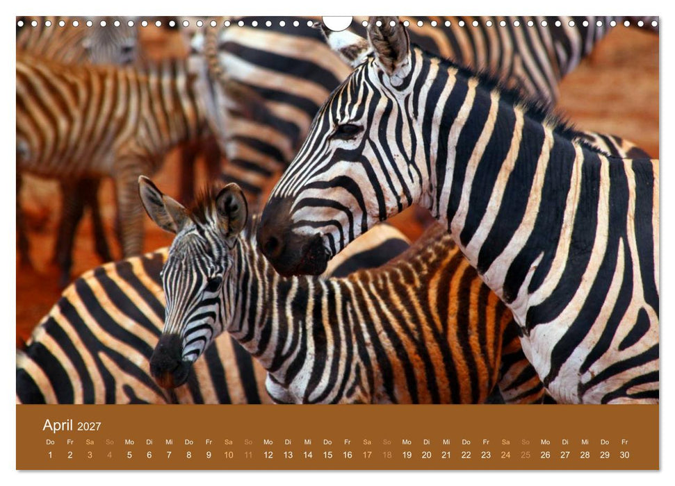 Safari Impressionen / Kenia (CALVENDO Wandkalender 2027)