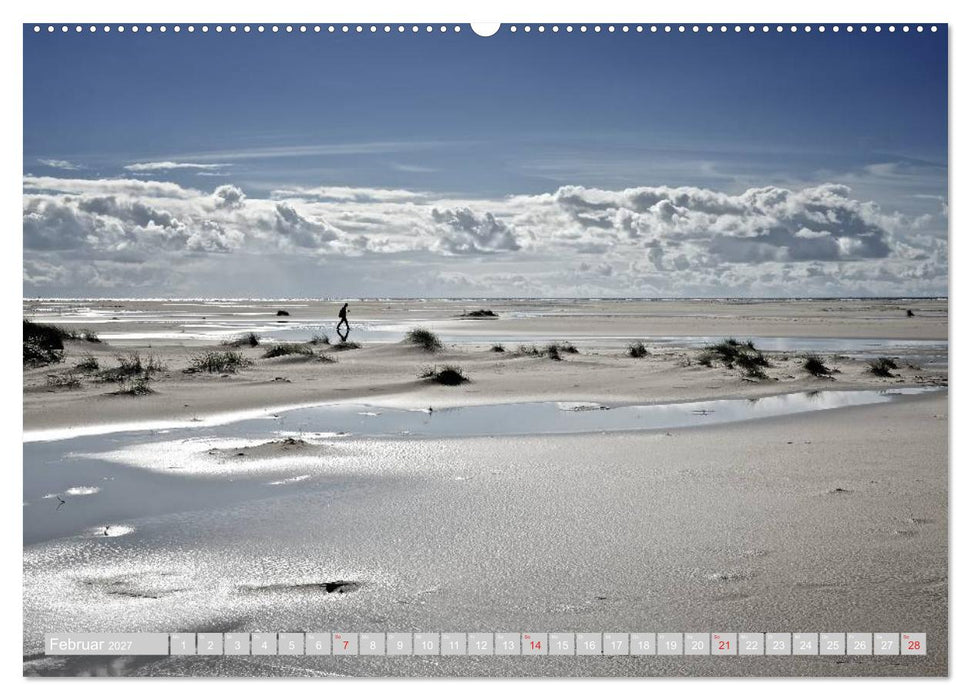 Amrum, die Perle in der Nordsee (CALVENDO Wandkalender 2027)