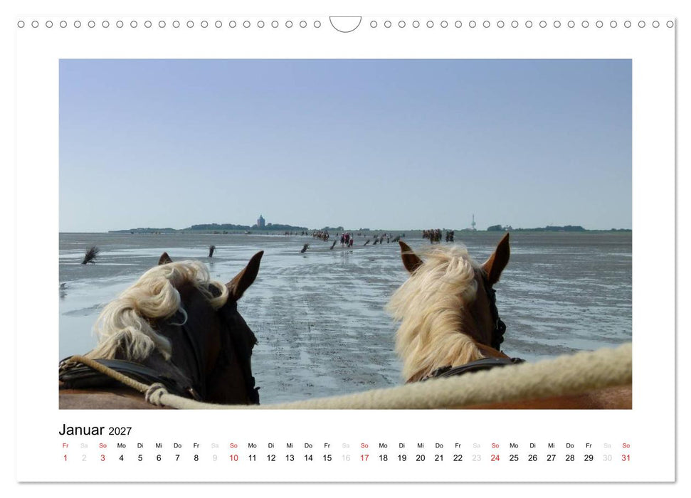 Die schöne Insel Neuwerk (CALVENDO Wandkalender 2027)