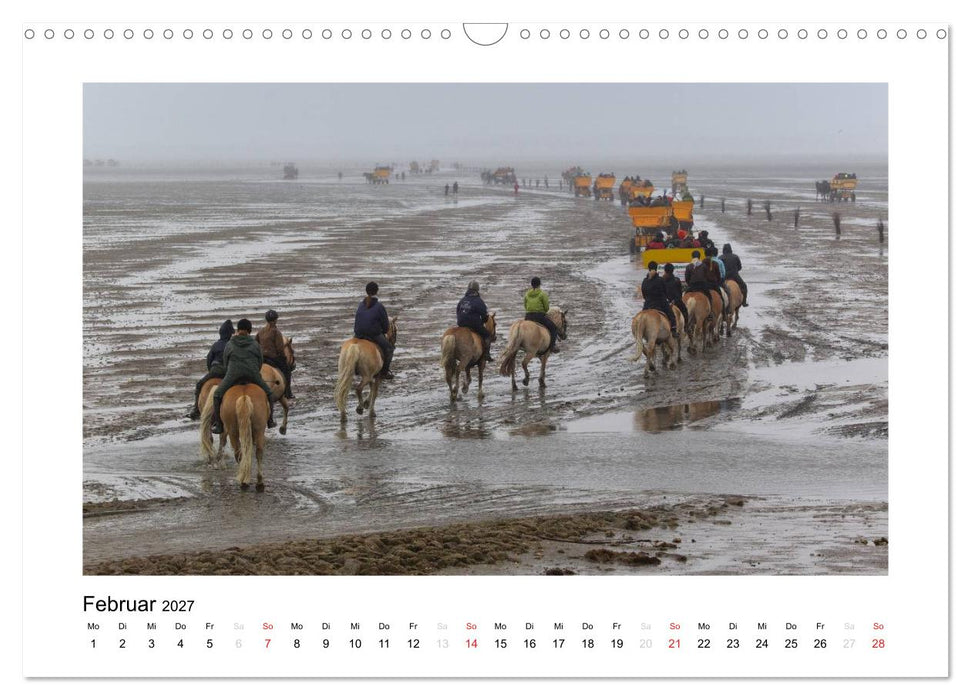 Die schöne Insel Neuwerk (CALVENDO Wandkalender 2027)