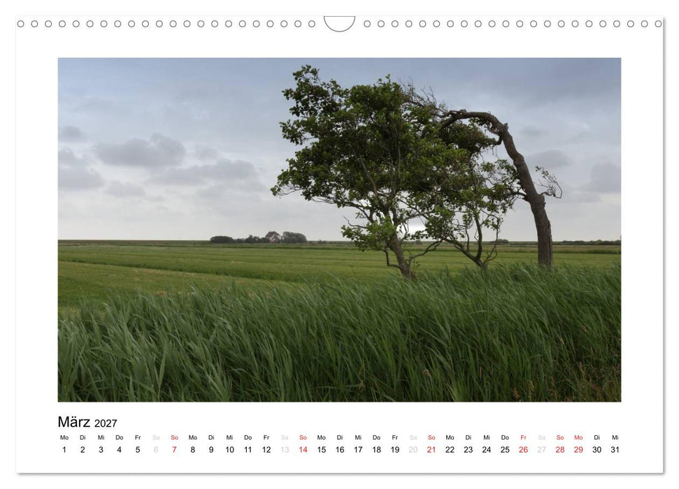 Die schöne Insel Neuwerk (CALVENDO Wandkalender 2027)