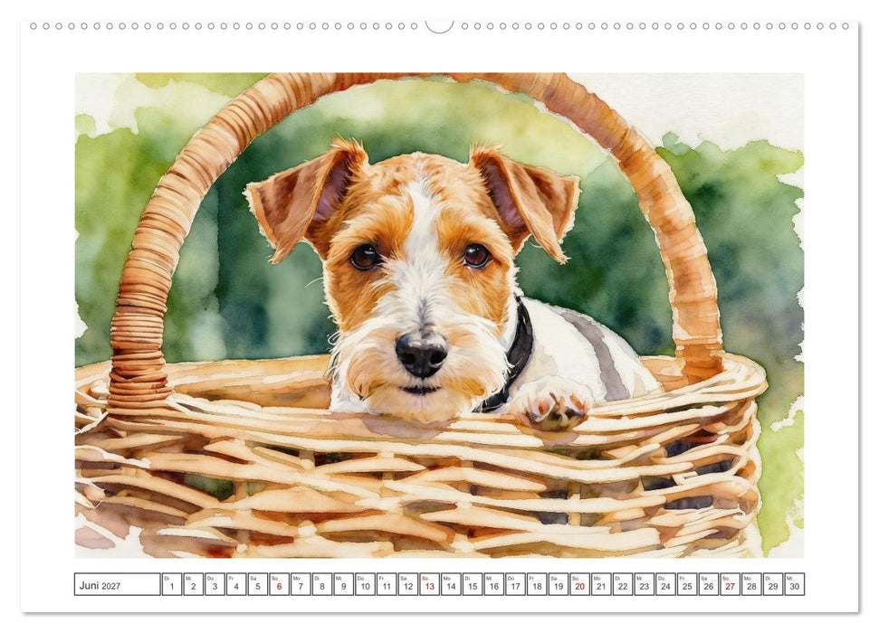 Drahthaar-Foxterrier charmanter Begleiter mit Witz (CALVENDO Premium Wandkalender 2027)