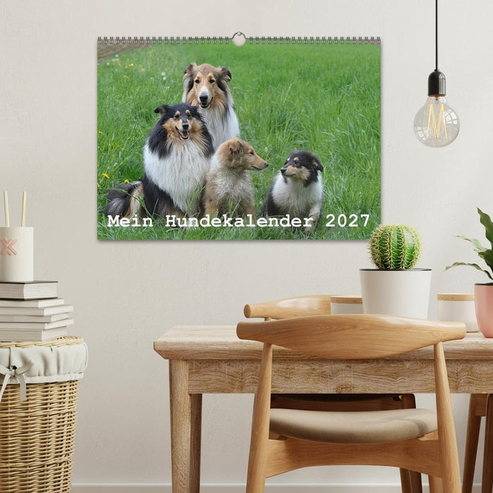 Mein Hundekalender 2027 (CALVENDO Wandkalender 2027)