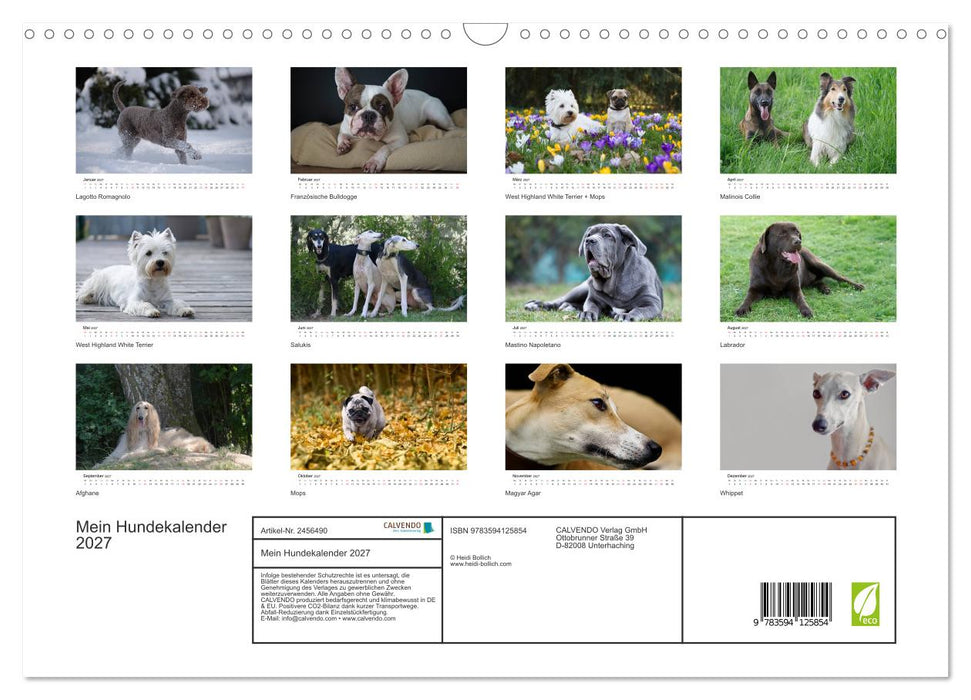 Mein Hundekalender 2027 (CALVENDO Wandkalender 2027)