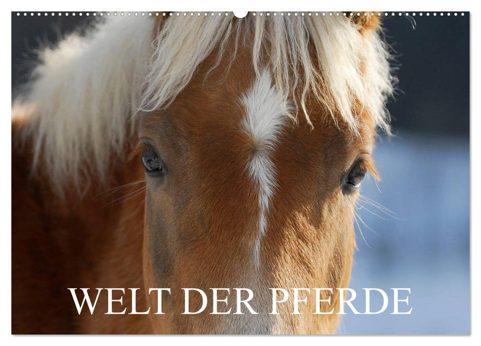 Welt der Pferde (CALVENDO Wandkalender 2027)