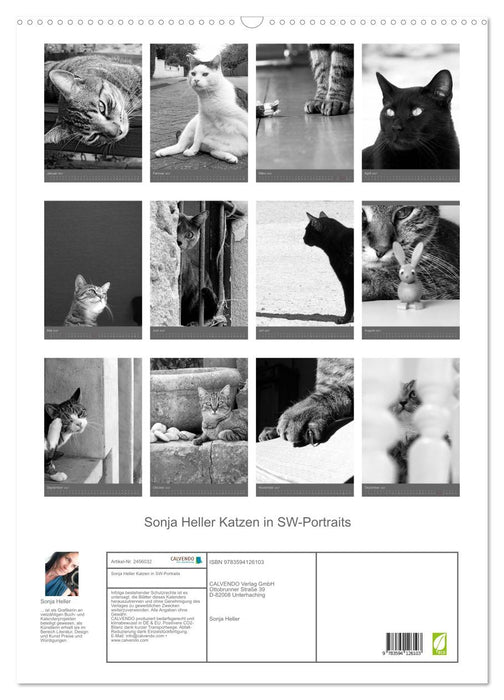 Sonja Heller Katzen in SW-Portraits (CALVENDO Wandkalender 2027)