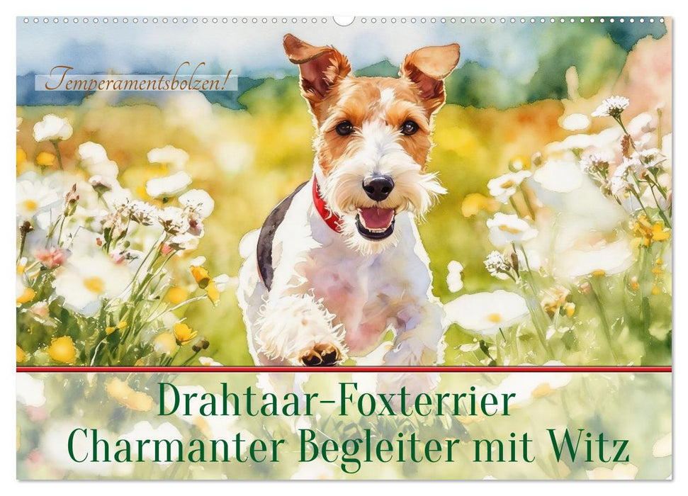 Drahthaar-Foxterrier charmanter Begleiter mit Witz (CALVENDO Wandkalender 2027)