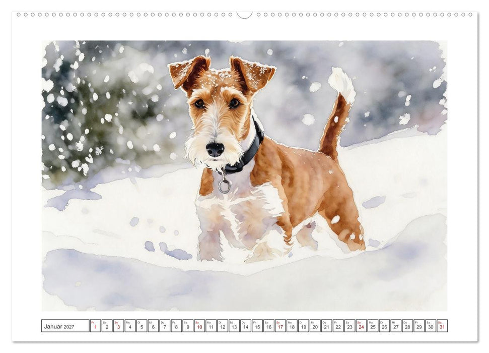 Drahthaar-Foxterrier charmanter Begleiter mit Witz (CALVENDO Wandkalender 2027)