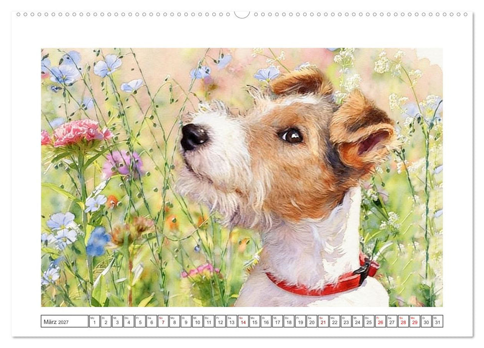 Drahthaar-Foxterrier charmanter Begleiter mit Witz (CALVENDO Wandkalender 2027)