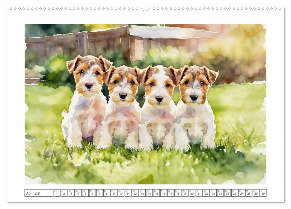 Drahthaar-Foxterrier charmanter Begleiter mit Witz (CALVENDO Wandkalender 2027)