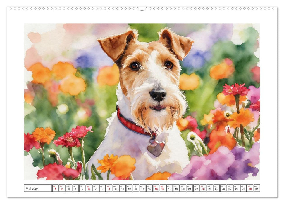 Drahthaar-Foxterrier charmanter Begleiter mit Witz (CALVENDO Wandkalender 2027)