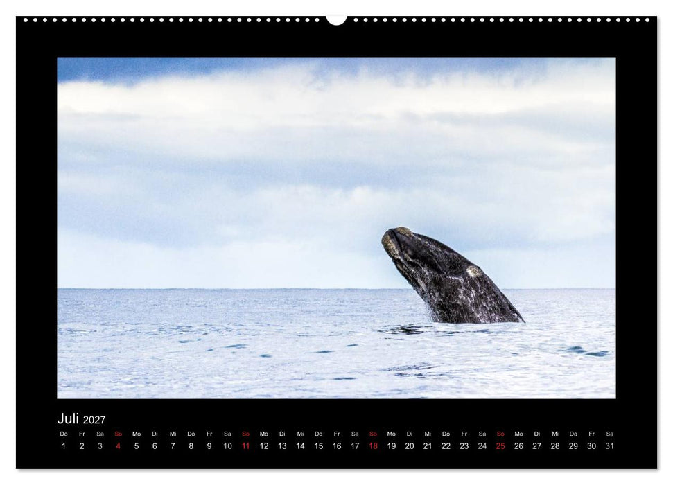 Südafrika - Garden Route (CALVENDO Premium Wandkalender 2027)