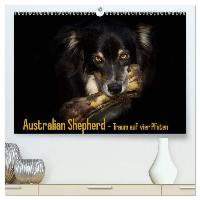 Australian Shepherd - Traum auf vier Pfoten (CALVENDO Premium Wandkalender 2027)