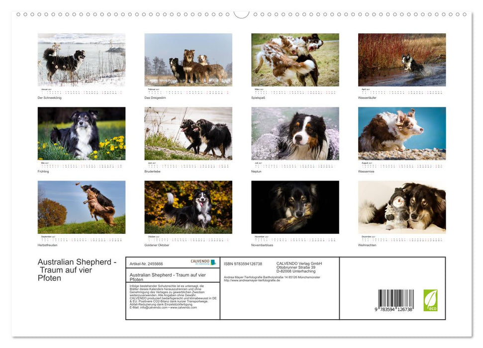 Australian Shepherd - Traum auf vier Pfoten (CALVENDO Premium Wandkalender 2027)