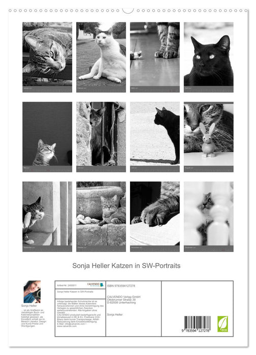 Sonja Heller Katzen in SW-Portraits (CALVENDO Premium Wandkalender 2027)