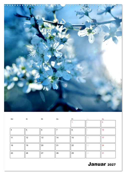 Zauberhafte Blütenwelt / Planer (CALVENDO Premium Wandkalender 2027)