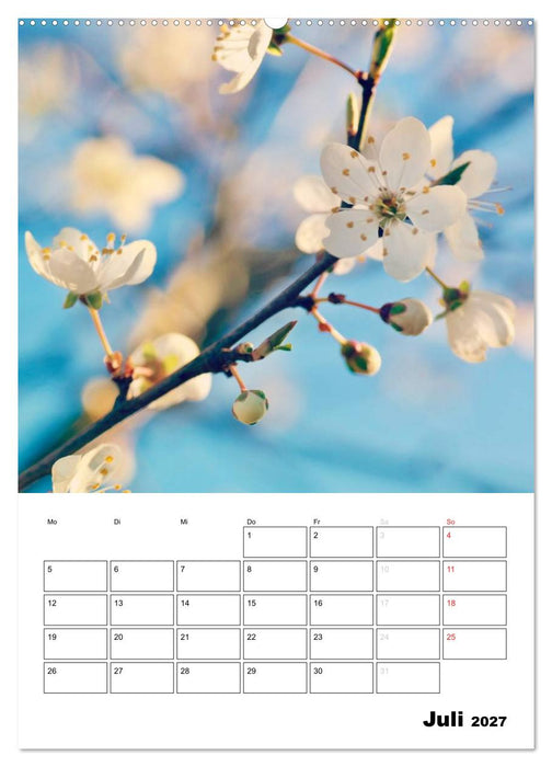 Zauberhafte Blütenwelt / Planer (CALVENDO Premium Wandkalender 2027)