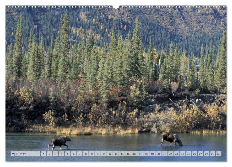 Wildes Alaska Christian Heeb (CALVENDO Wandkalender 2027)