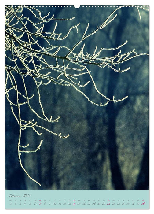 Natur Träume (CALVENDO Wandkalender 2027)