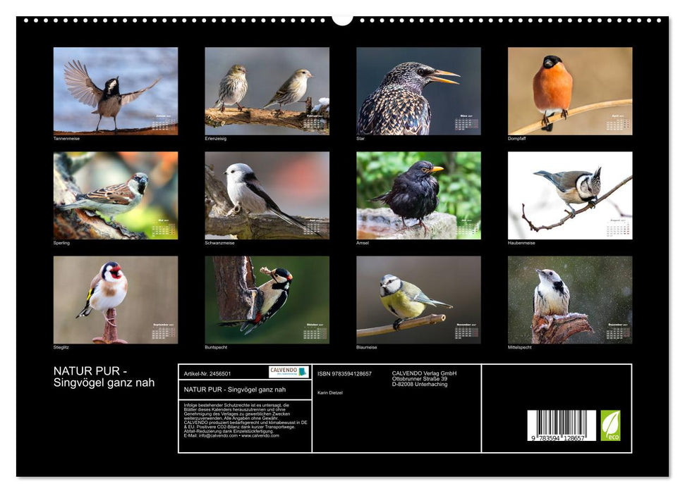NATUR PUR - Singvögel ganz nah (CALVENDO Premium Wandkalender 2027)