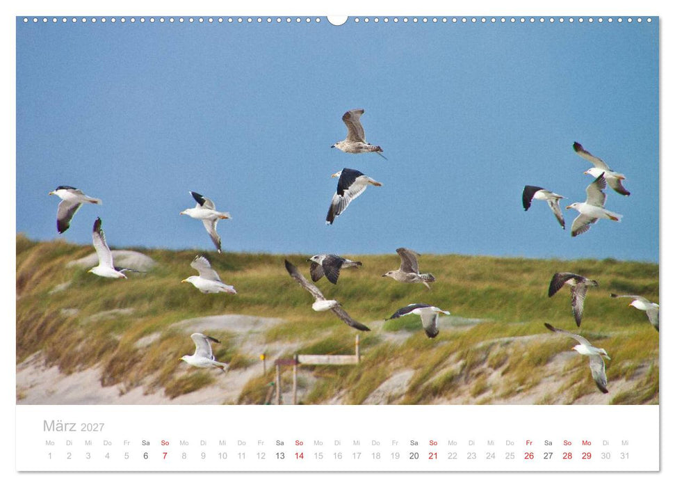Sylt im Herbst (CALVENDO Wandkalender 2027)