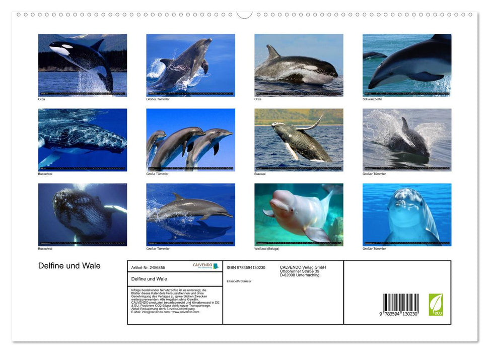 Delfine und Wale (CALVENDO Premium Wandkalender 2027)