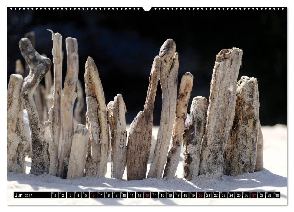 Land Art - Natur und Kunst (CALVENDO Wandkalender 2027)