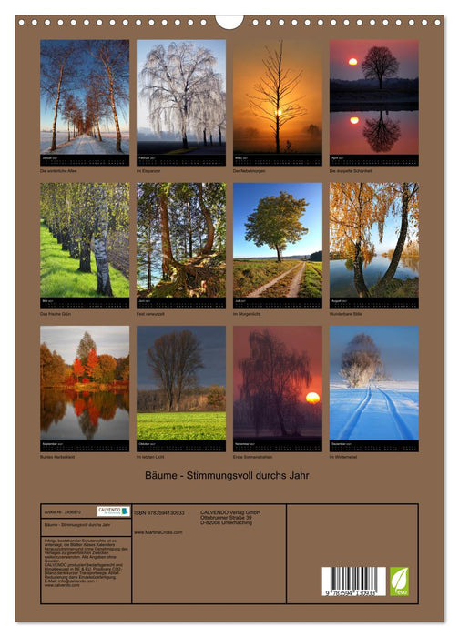 Bäume - Stimmungsvoll durchs Jahr (CALVENDO Wandkalender 2027)