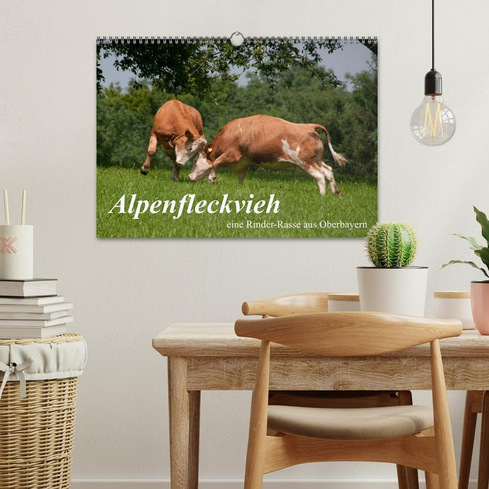 Alpenfleckvieh (CALVENDO Wandkalender 2027)