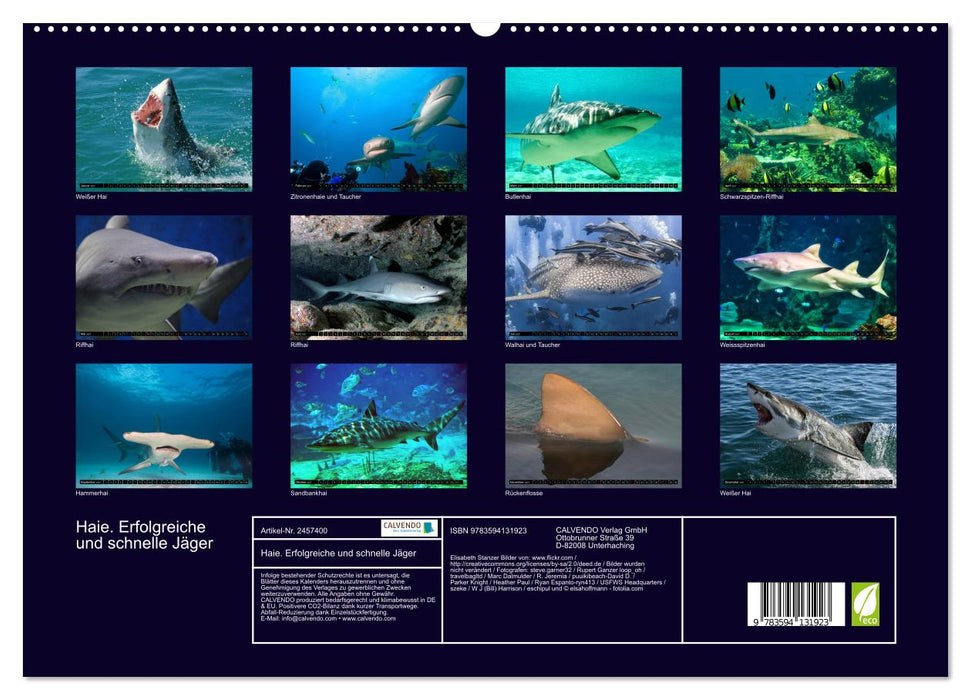 Haie. Erfolgreiche und schnelle Jäger (CALVENDO Premium Wandkalender 2027)