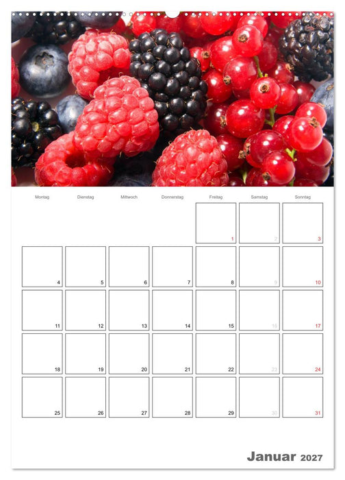 Frische Küche - Der hilfreiche Monatsplaner / Planer (CALVENDO Wandkalender 2027)