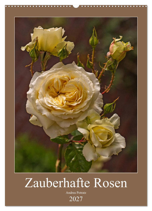 Zauberhafte Rosen (CALVENDO Wandkalender 2027)
