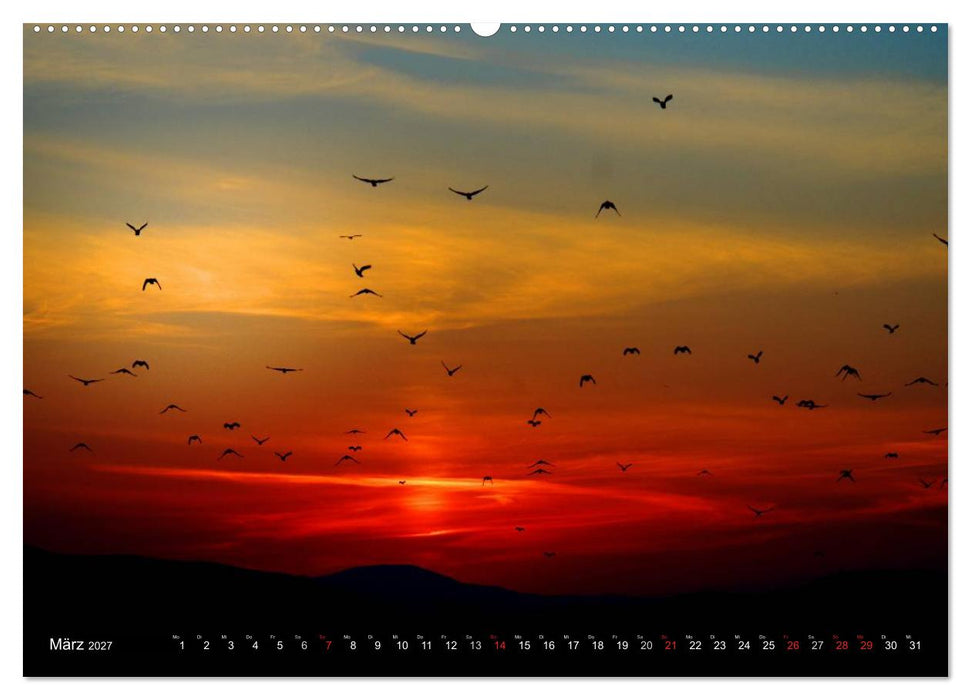 Sonnenuntergänge • Traumhafte Farbspiele (CALVENDO Wandkalender 2027)