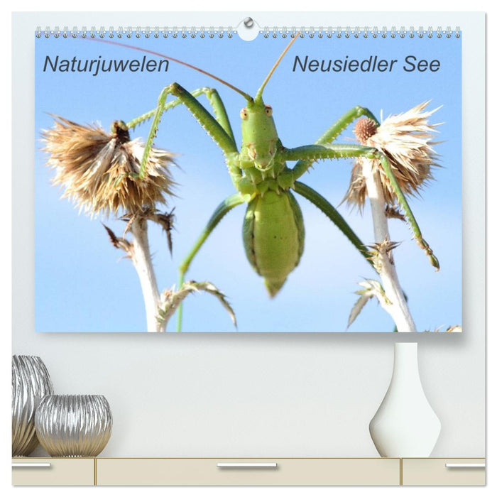 Naturjuwelen - Neusiedler See (CALVENDO Premium Wandkalender 2027)