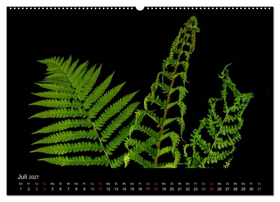 Verändertes (CALVENDO Premium Wandkalender 2027)