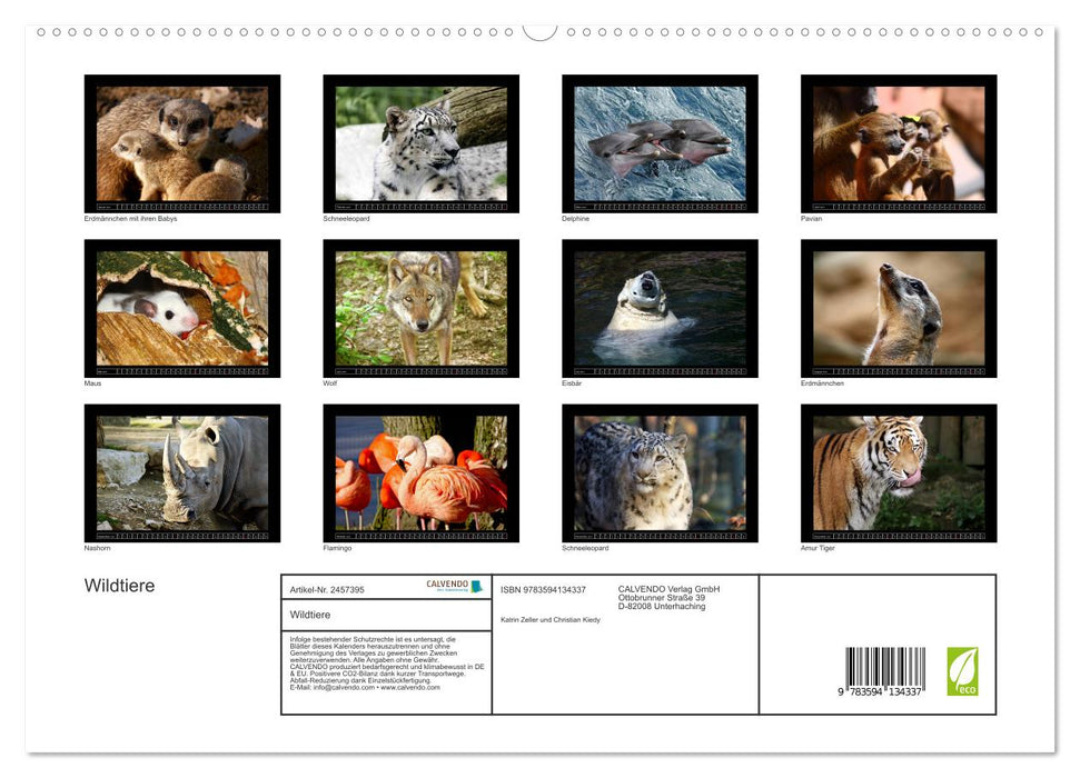 Wildtiere (CALVENDO Premium Wandkalender 2027)